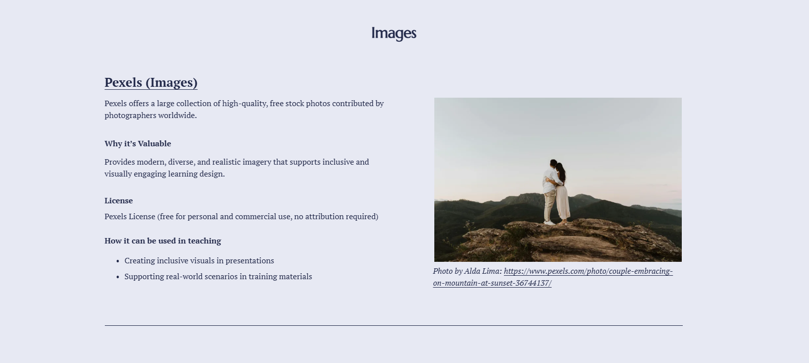 website 8.png