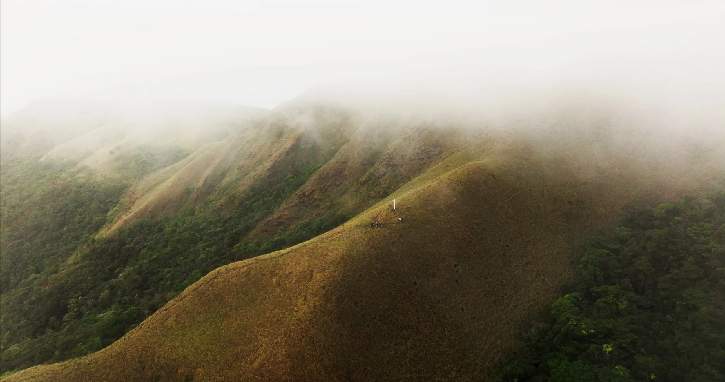 Screenshot 2025-04-02 at 3.47.43 PM.jpg