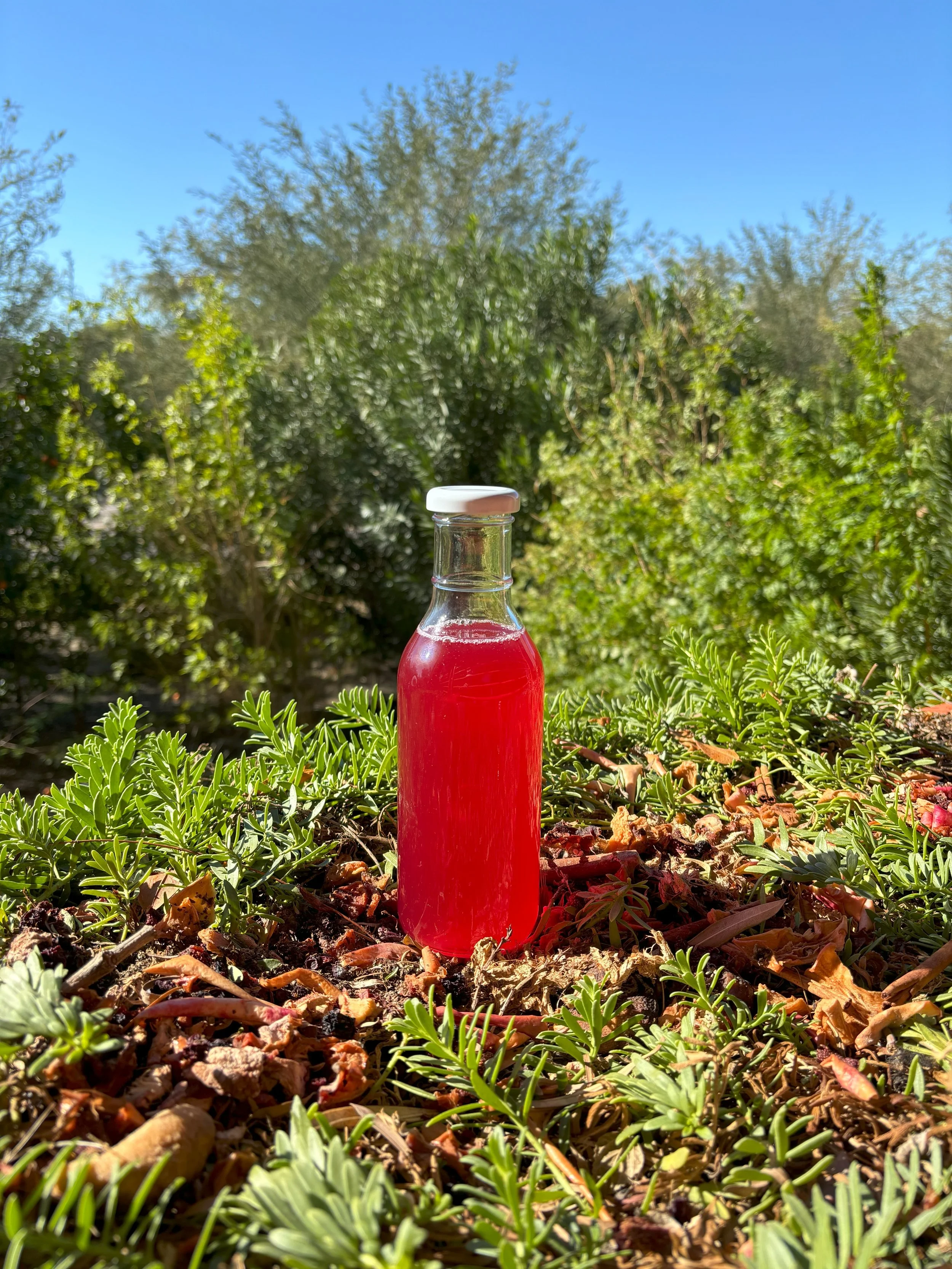 Berry Breeze