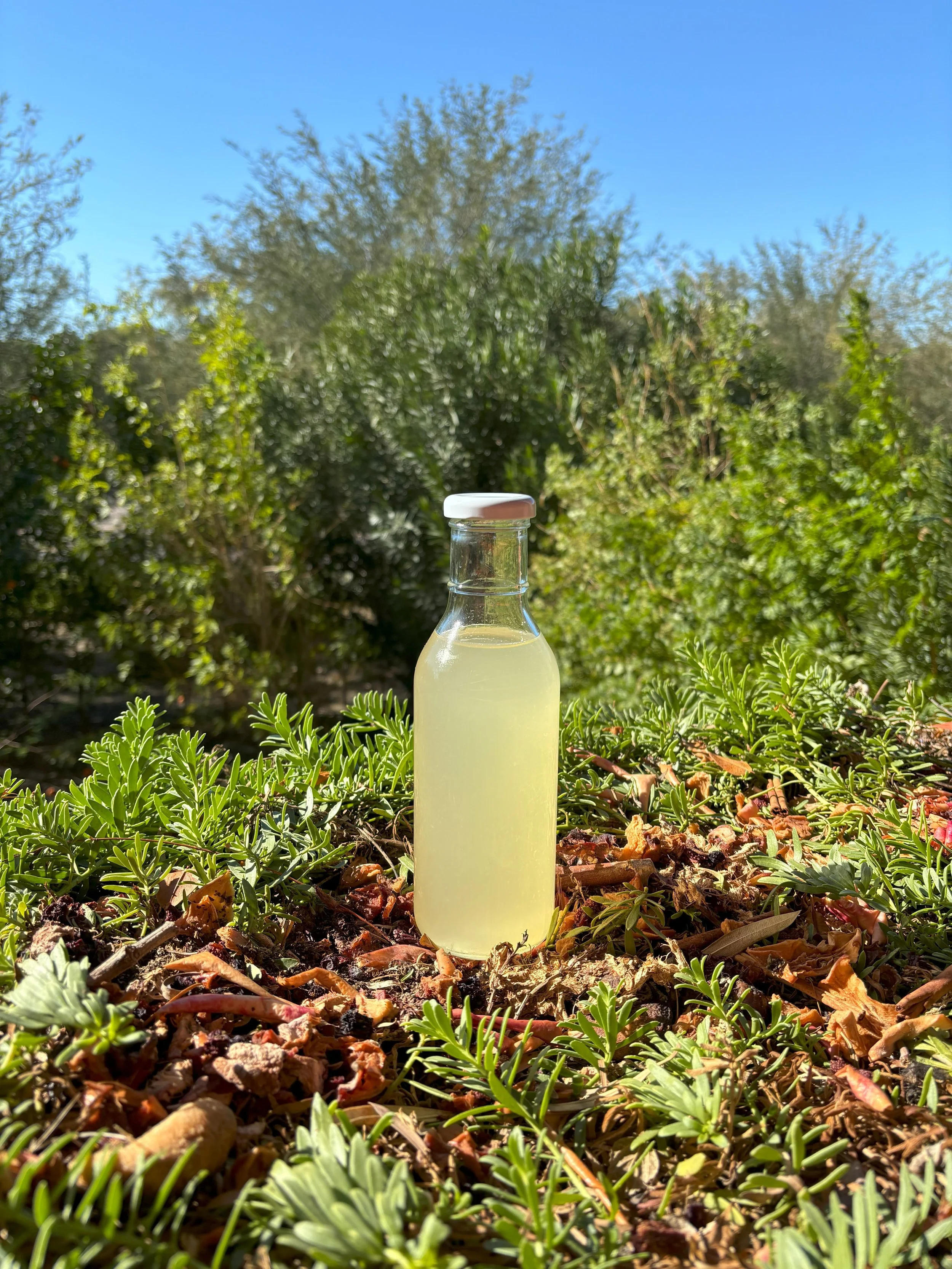Lemon Ginger