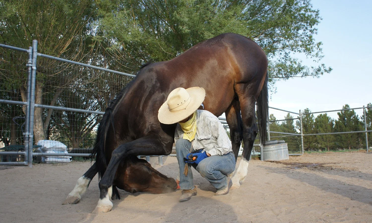 Photography/Direction for The Stanton Magazine, 2011