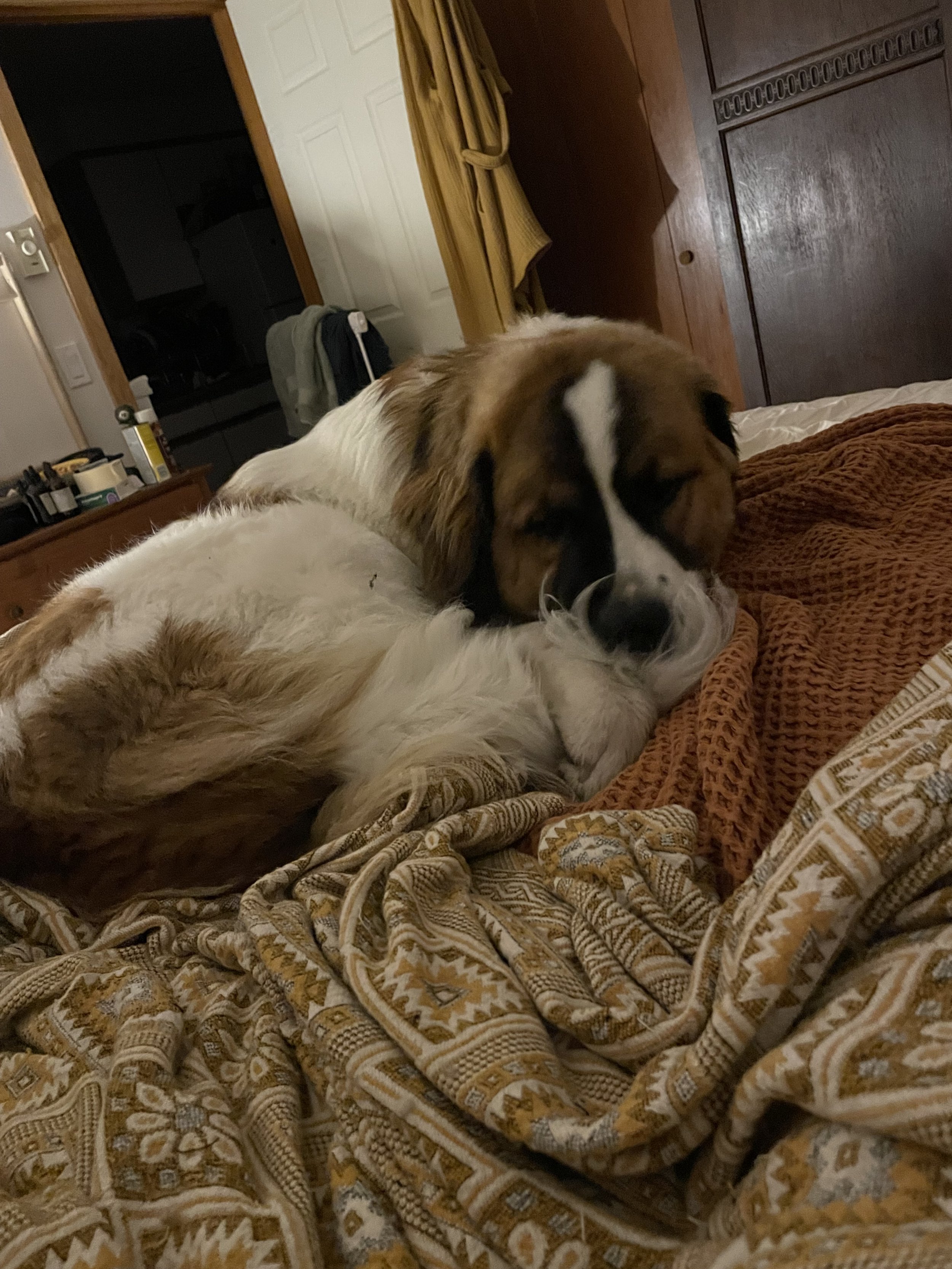 IMG_8667.jpeg
