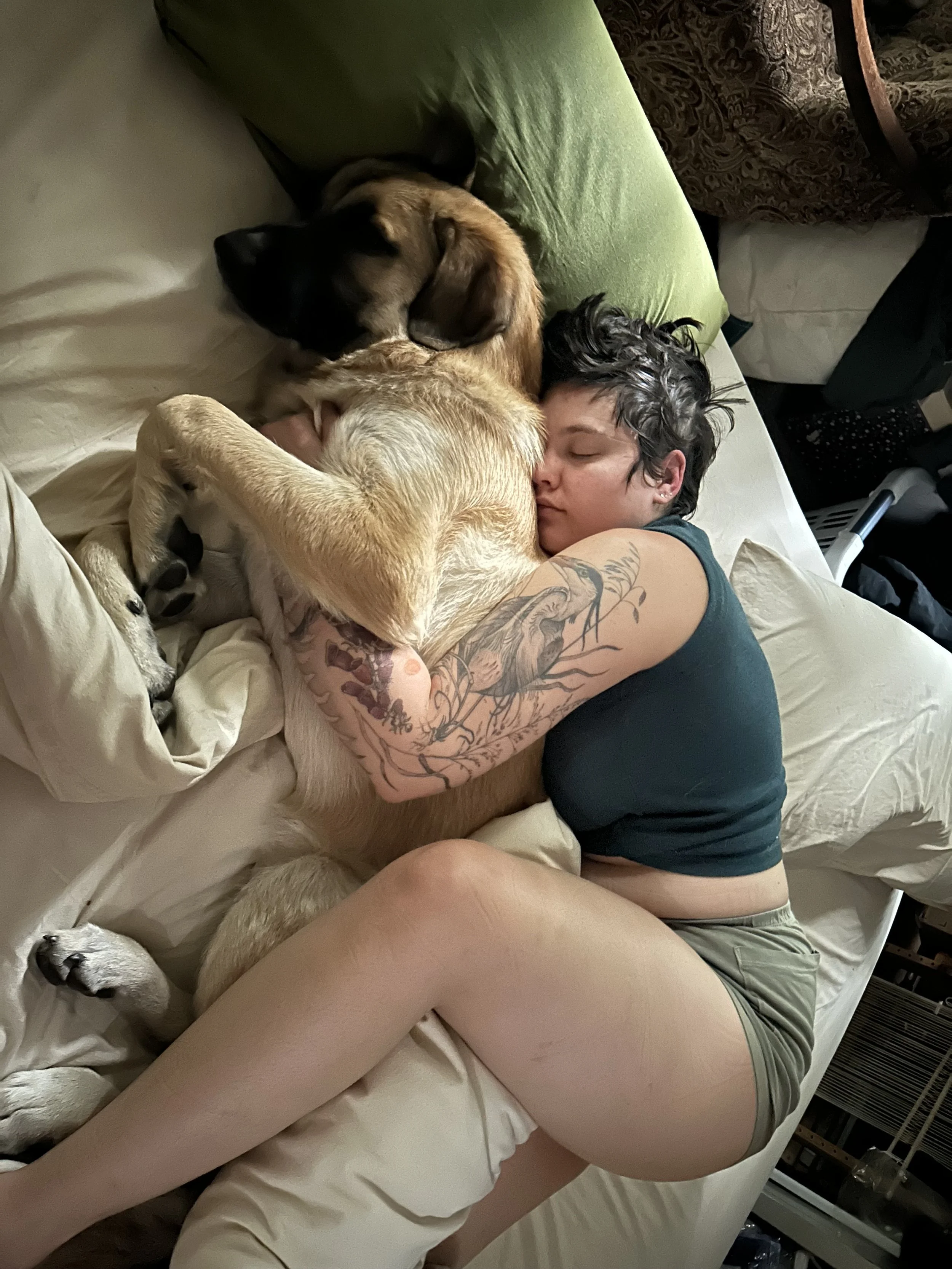 IMG_6114.jpeg