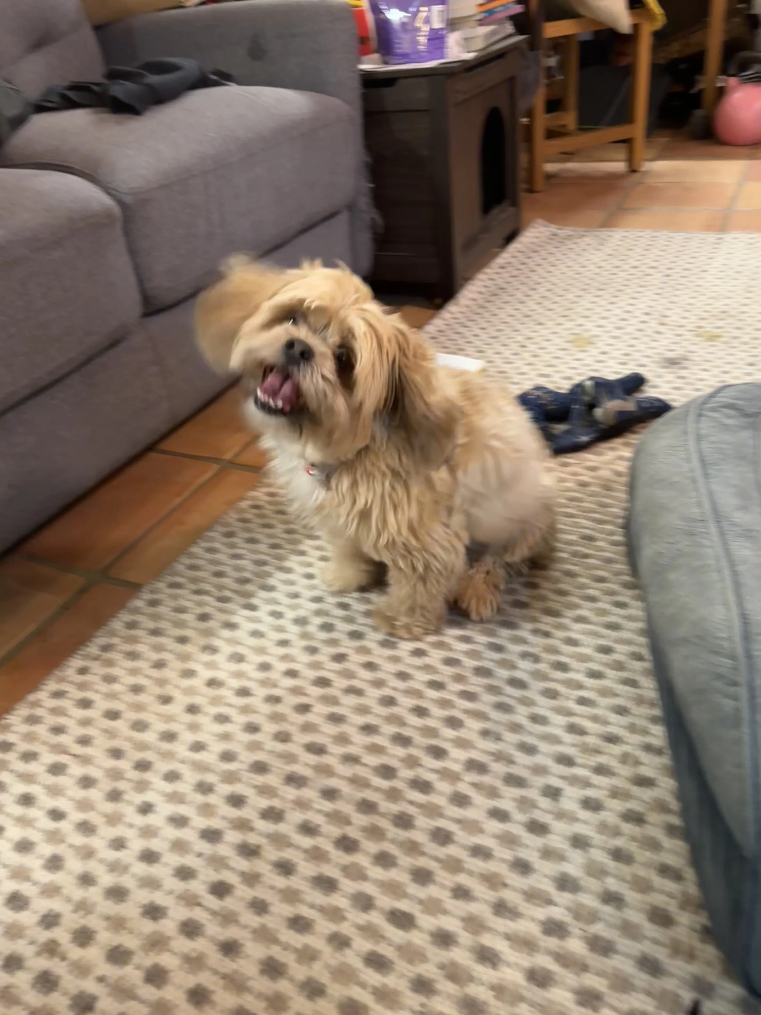 IMG_0333.jpeg