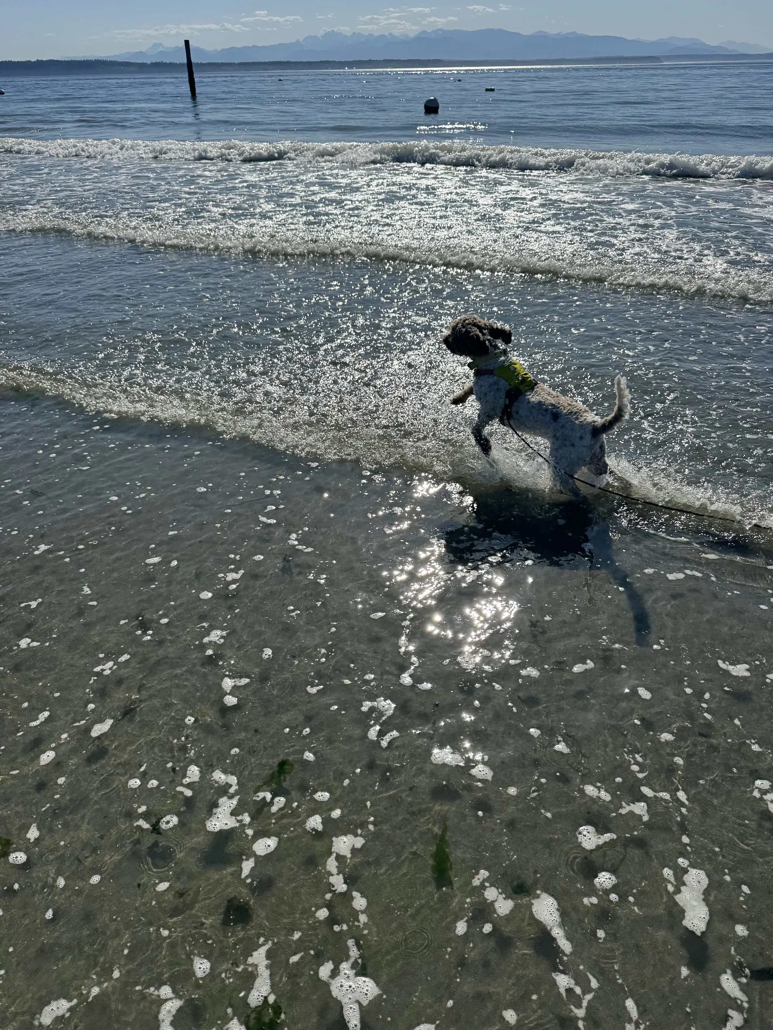 IMG_1722.jpeg