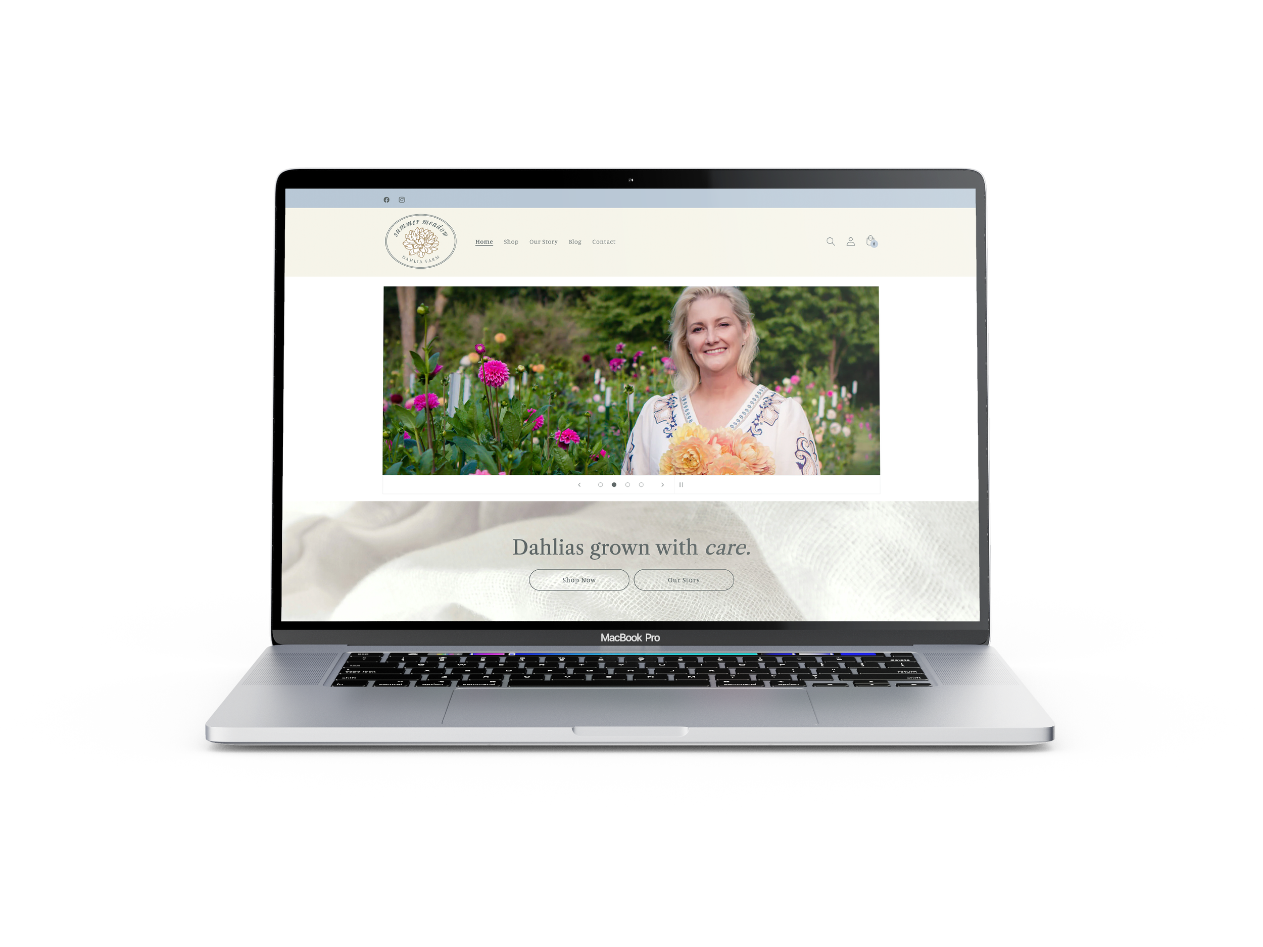 Summer Meadow Dahlia Farm