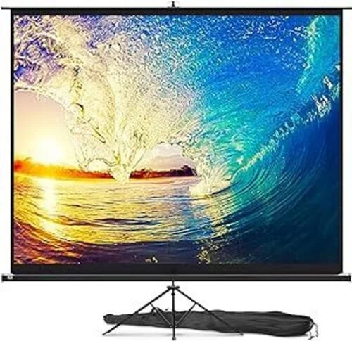 $200.00- Large Projector Screen 