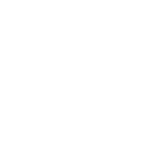 Amey Michelle