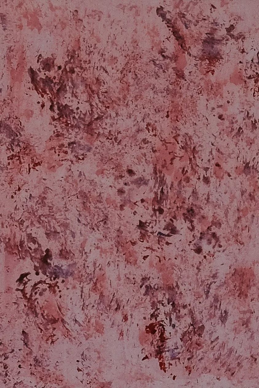 DSCF0216.jpg