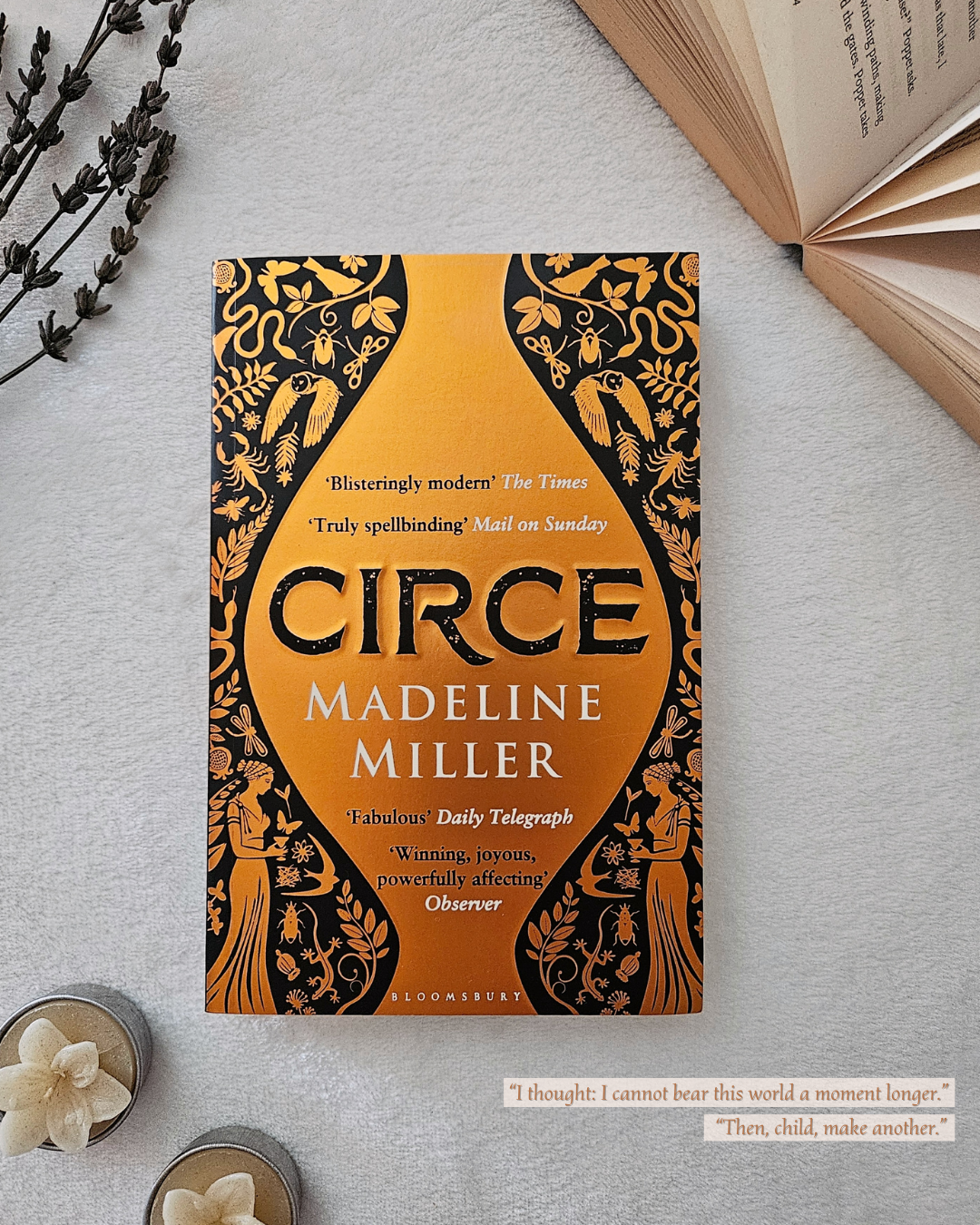 Book Review: “Circe” 🦁🤍 