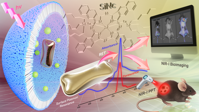 Our research on a new approach that can safely and effectively destroy melanoma tumors using low-powered light has been featured at OSU Newsroom. Click the image to learn more!