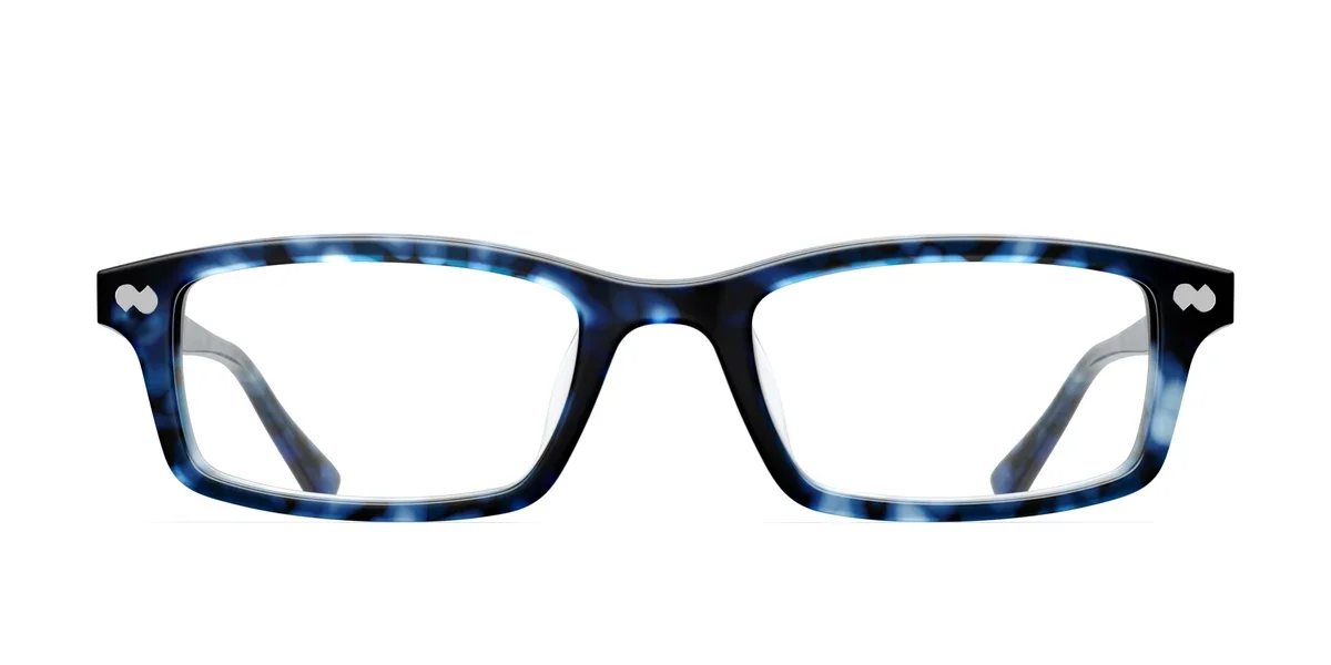 CEDRO-BLUETORTOISE-NEWLOGO-FRONT.webp
