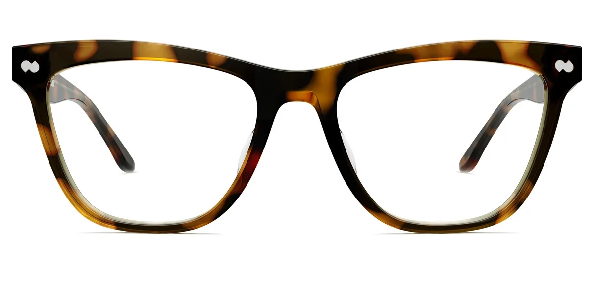 HARPER-TORTOISE-FRONT.webp