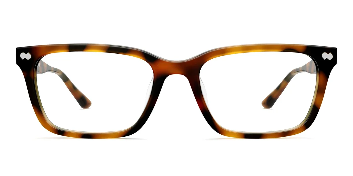 LARKIN-TORTOISE-NEWLOGO-FRONT.webp