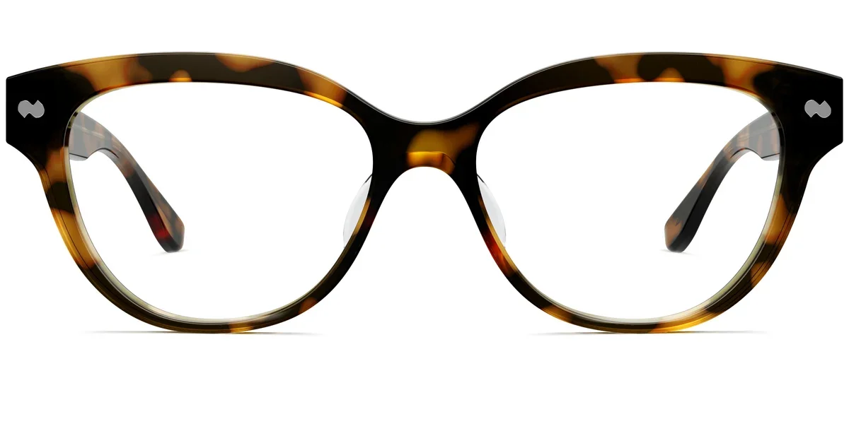 QUINN-TORTOISE-FRONT.webp