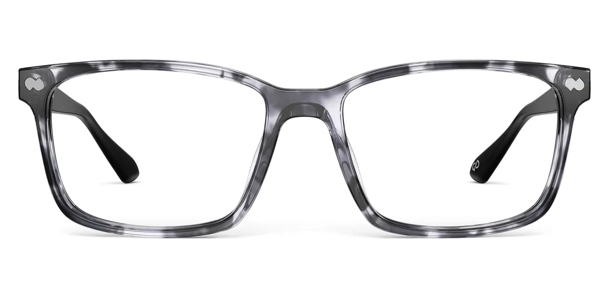 kirby-gray-tortoise-silver-front.webp