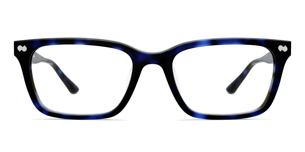 LARKIN-BLUETORTOISE-NEWLOGO-FRONT.webp