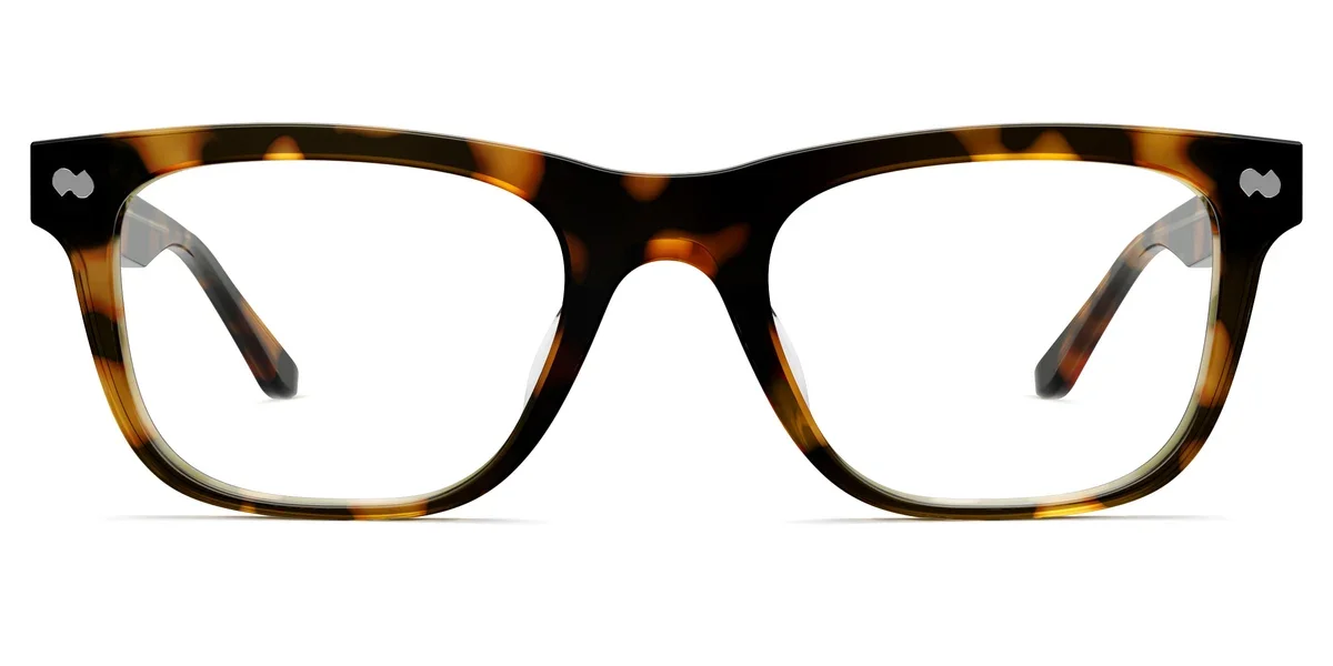 JESSIE-TORTOISE-FRONT.webp