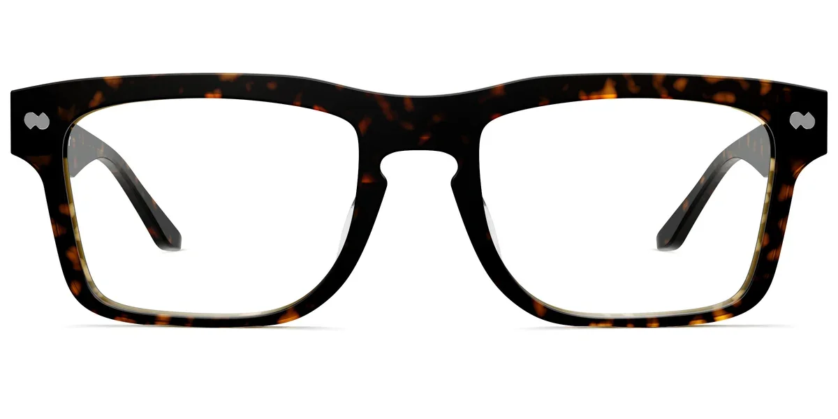 DREW-TORTOISE-FRONT.webp