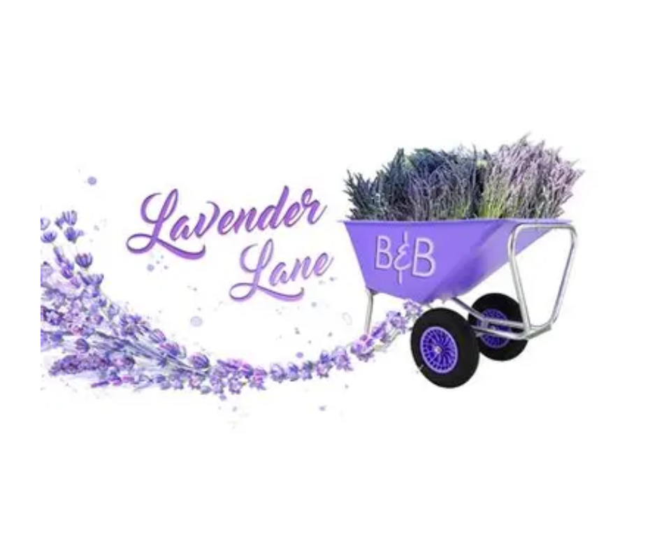 Lavender Lane Bed and Breakfast