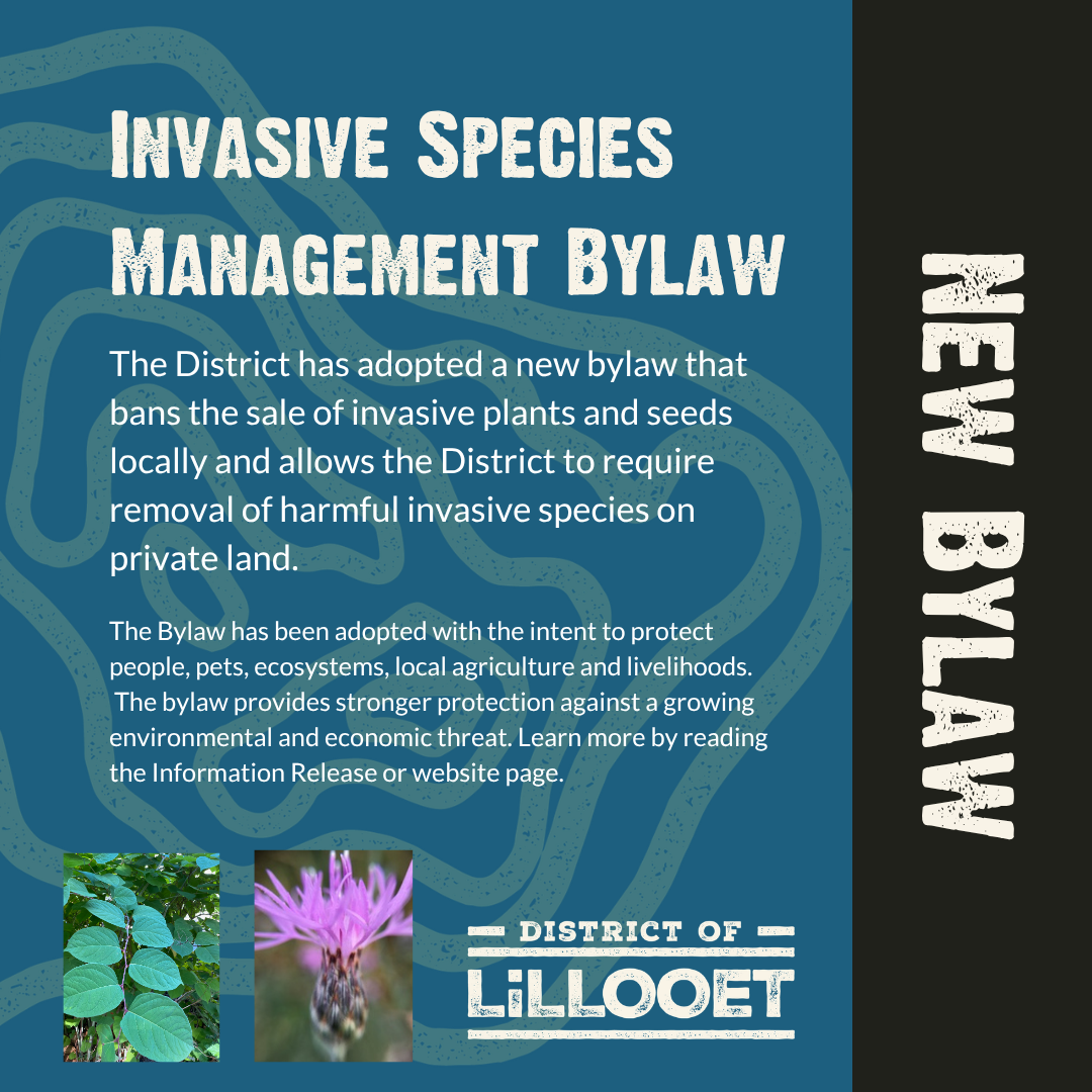 Information Release: New Invasive Species Management Bylaw