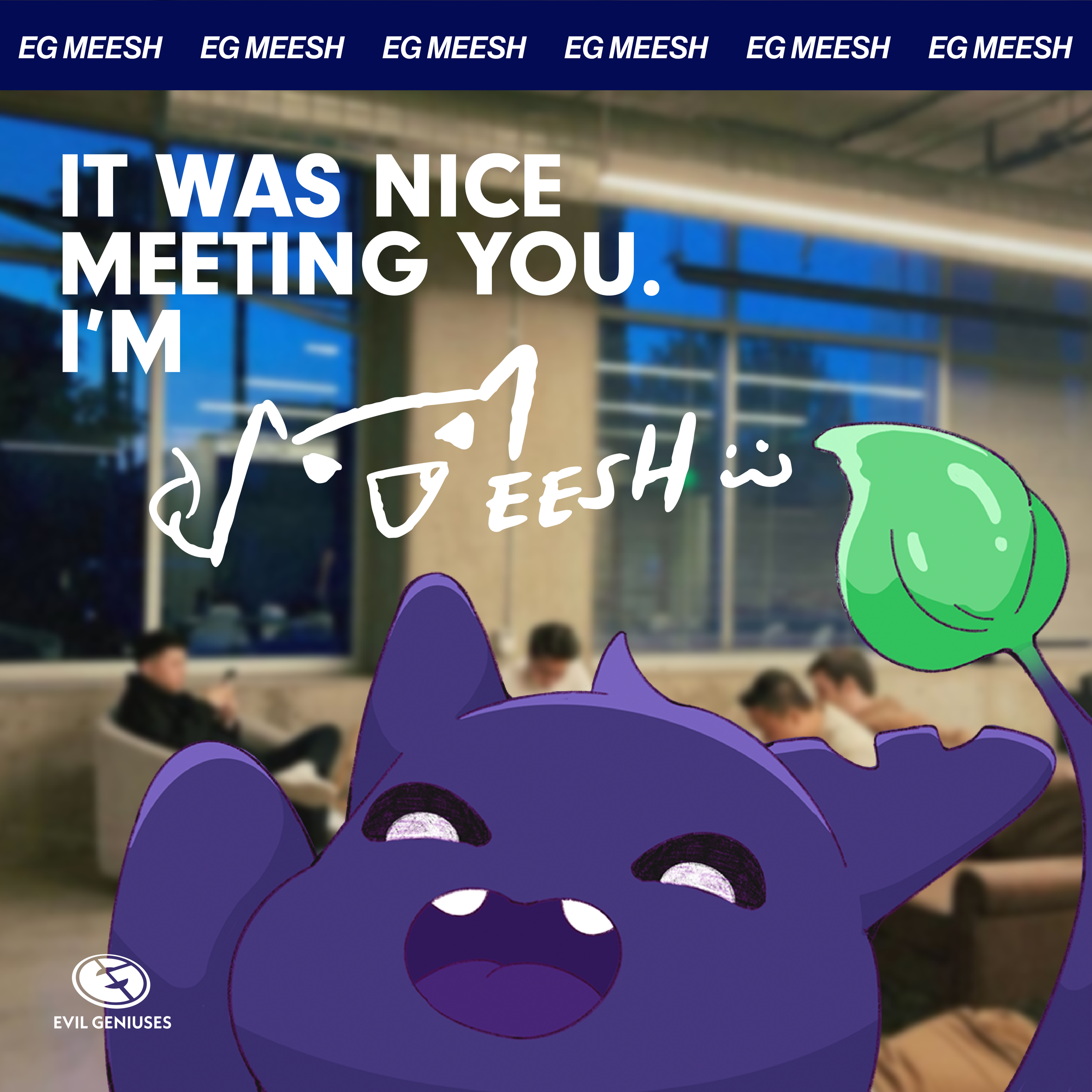 Meesh Launch Graphics-06.png