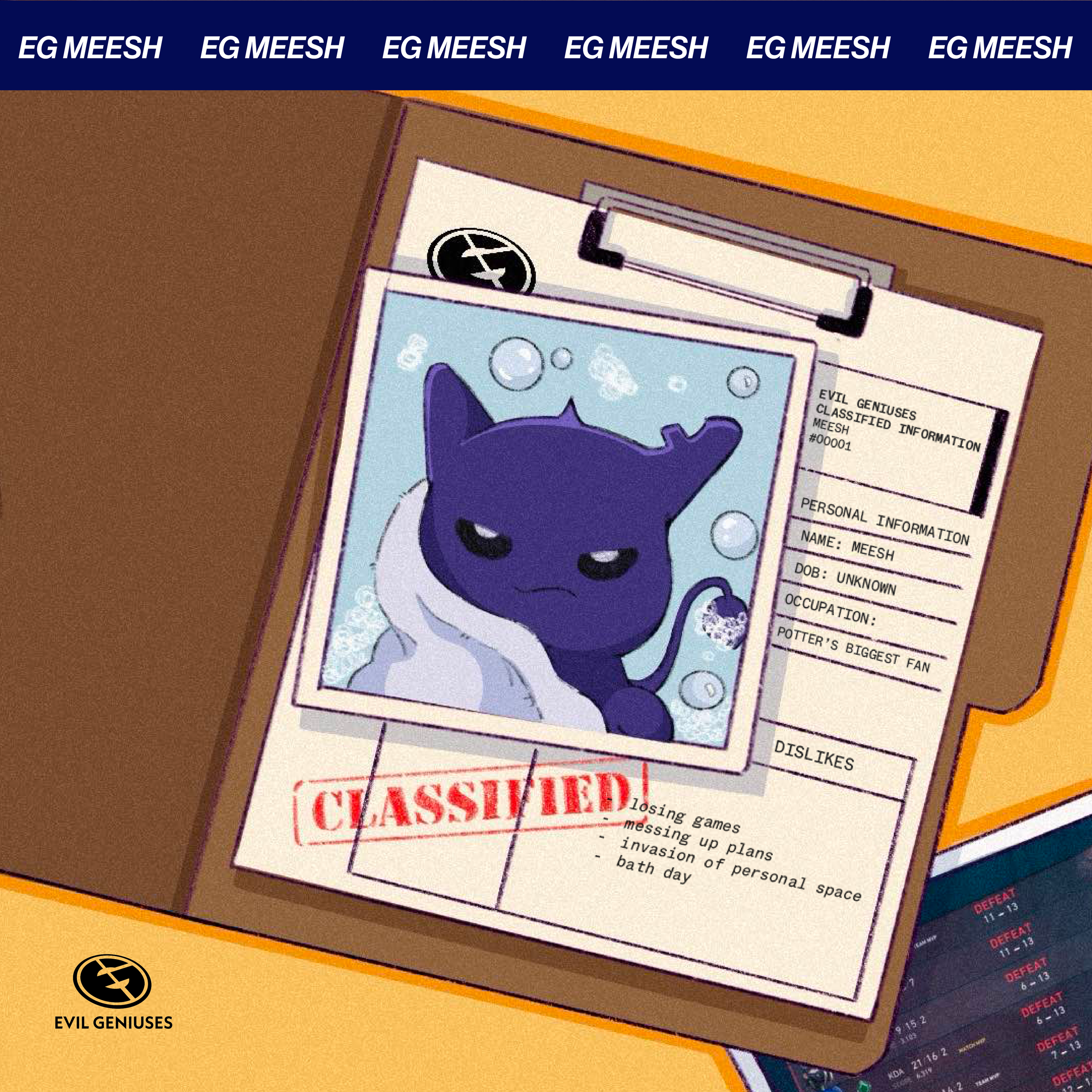 Meesh Launch Graphics-05.png