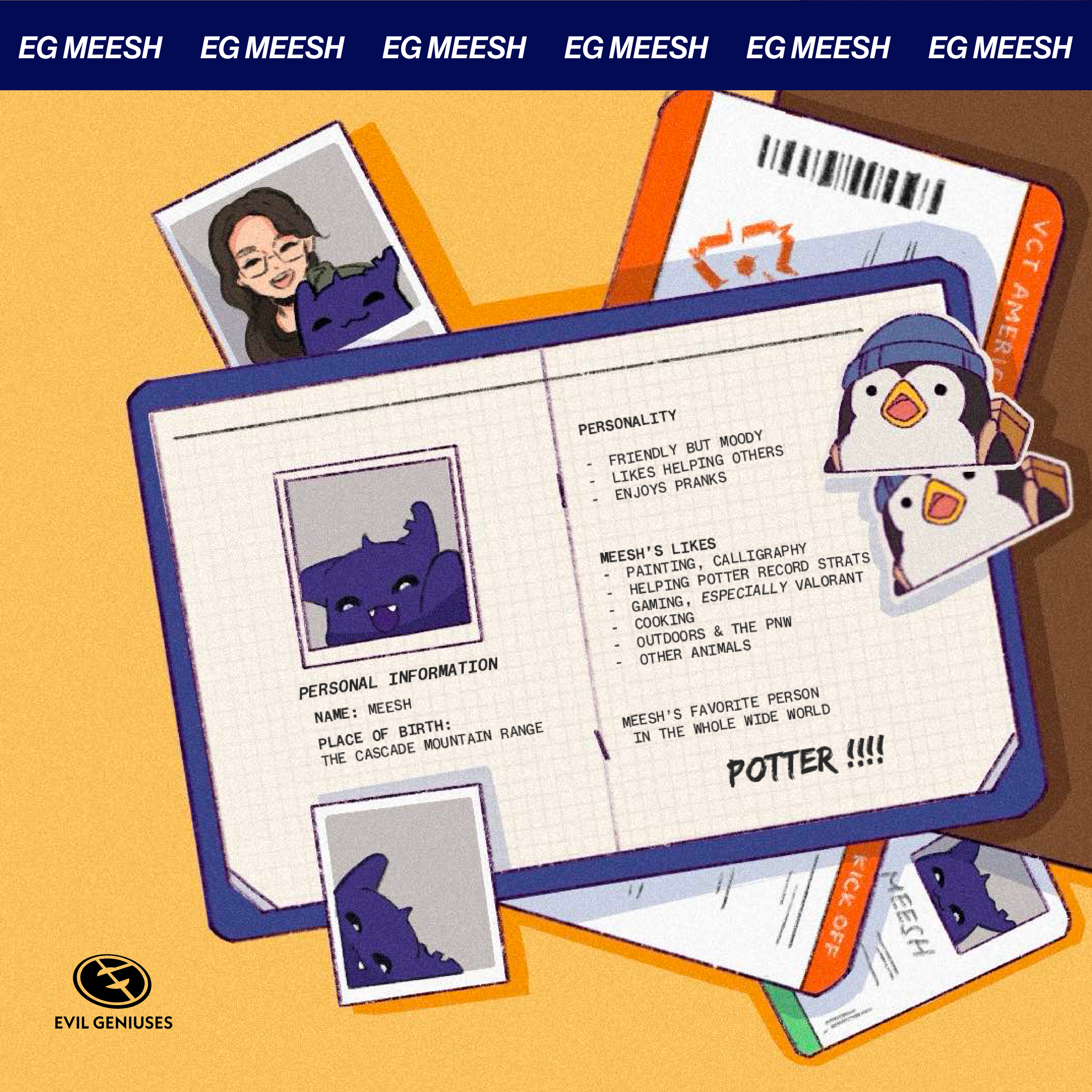 Meesh Launch Graphics-04.png