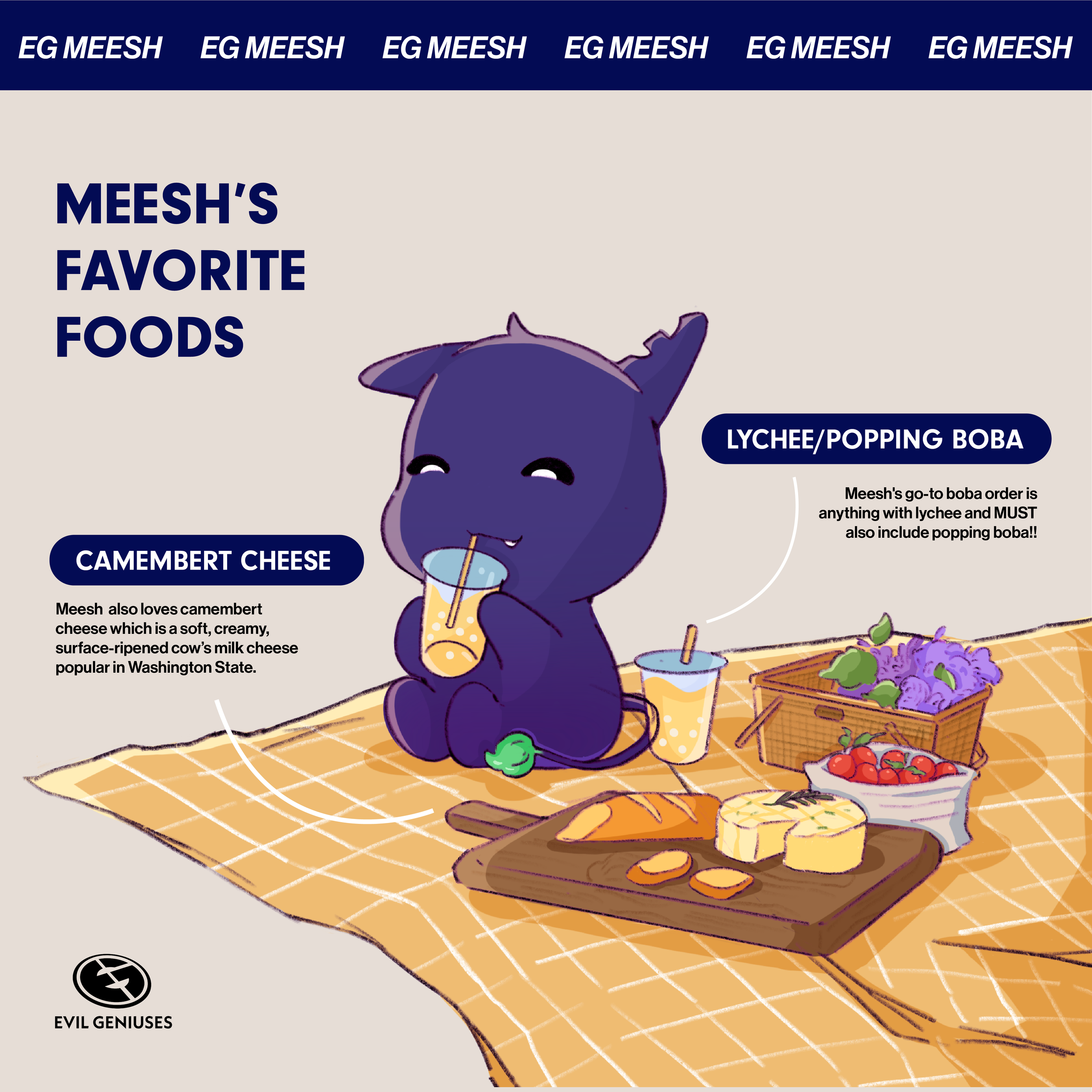 Meesh Launch Graphics-03.png