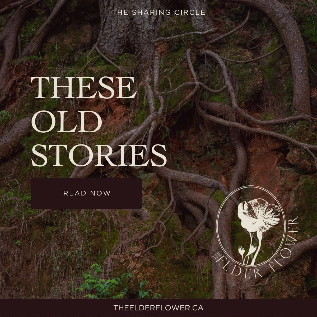 These Old Stories