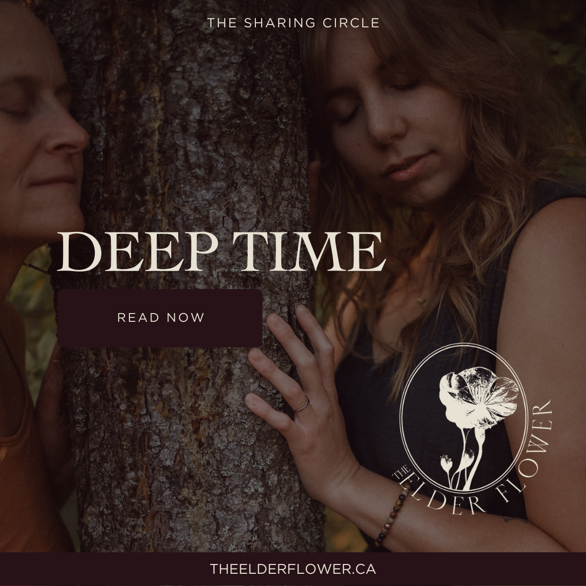 I’ve known you before… in Deep Time