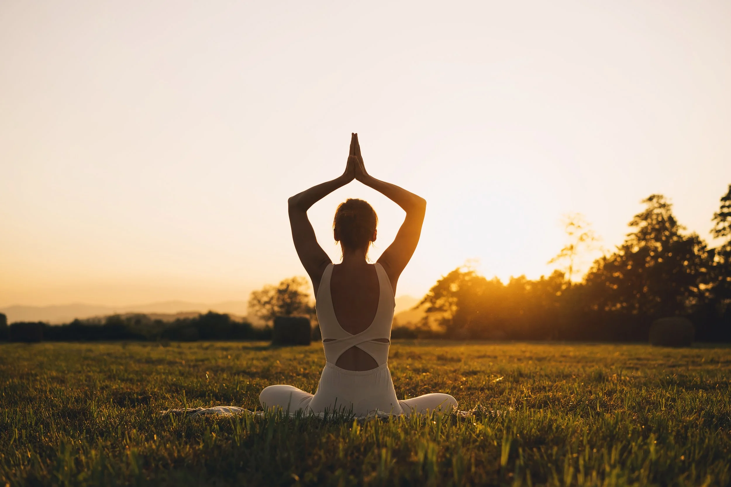 Embodiment: A Mind–Body Approach toManaging Stress