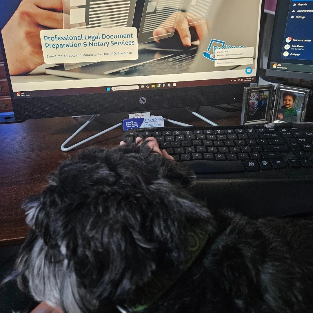 Just a little peek behind the scenes at Pro Docs Plus! We are a family-run business, and that means our furry family gets involved, too. Loki is currently helping ensure that every step of your document assembly process is streamlined and clear.
Our