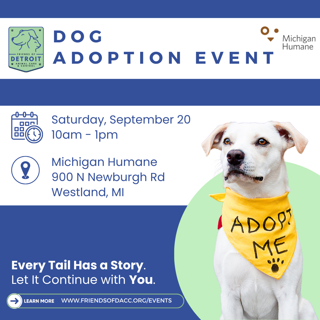 Dog Adoption Event in Westland
