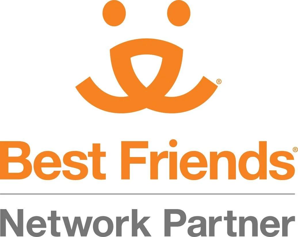 Best Friends Network Partner