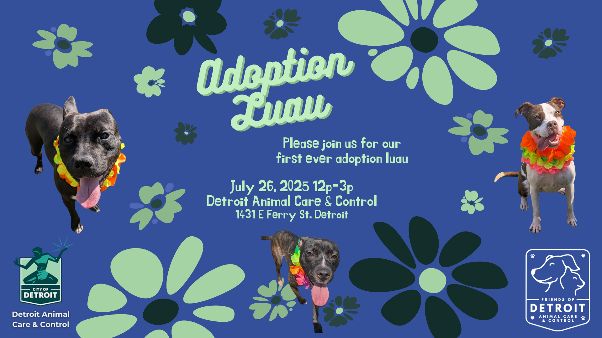 Adoption Luau at DACC