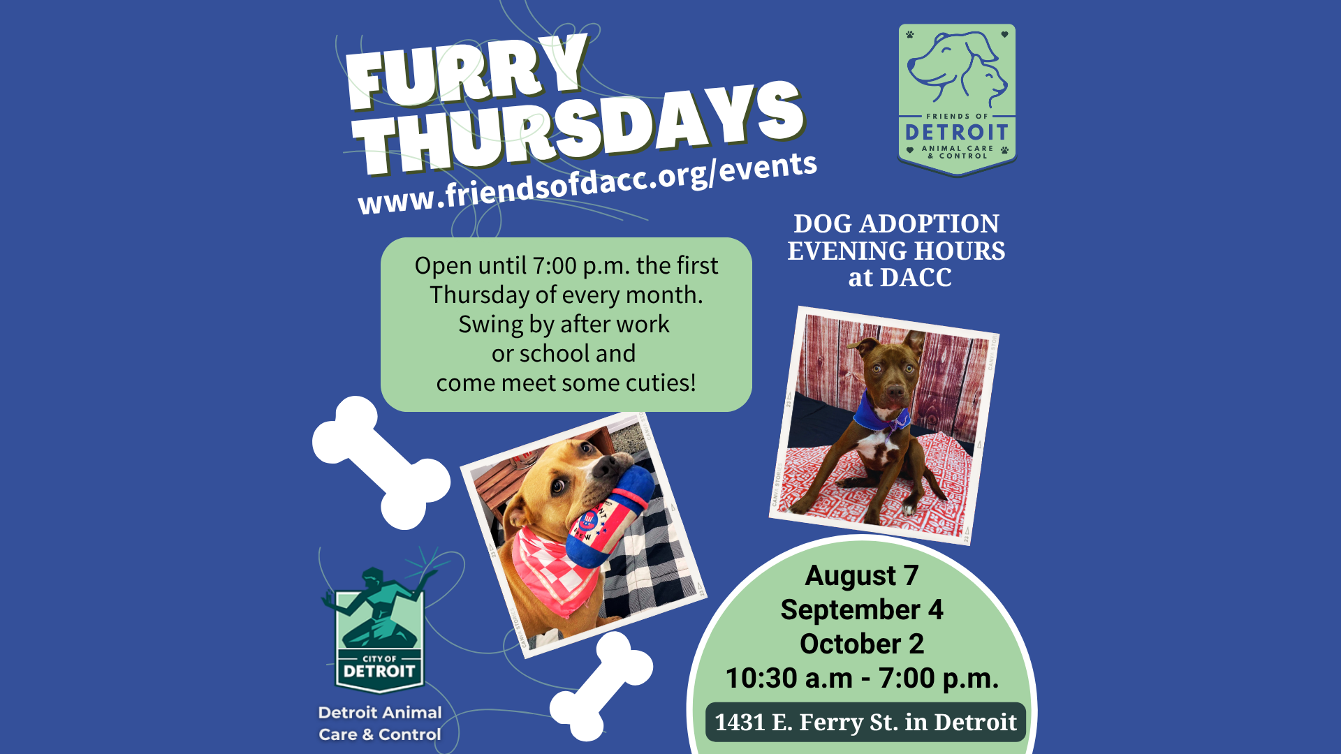 Furry Thursday- Evening Adoption Hours at DACC