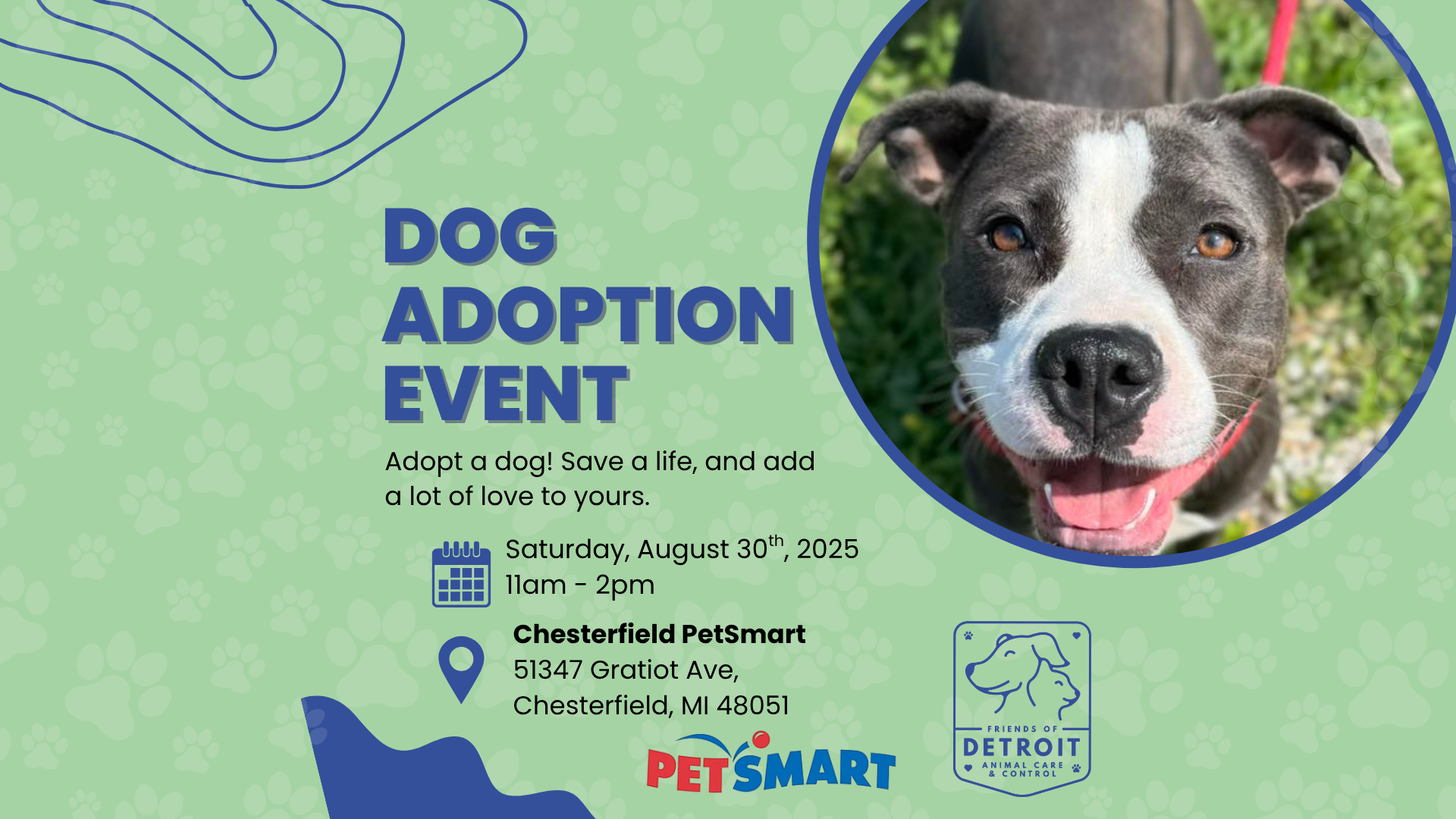 Adoption Event at Chesterfield PetSmart