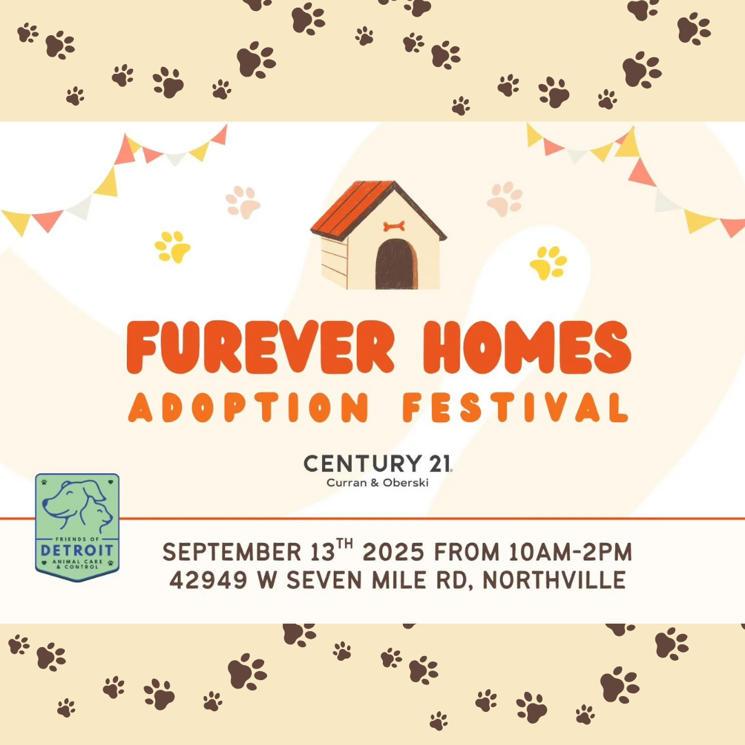 Furever Homes Dog Adoption Festival