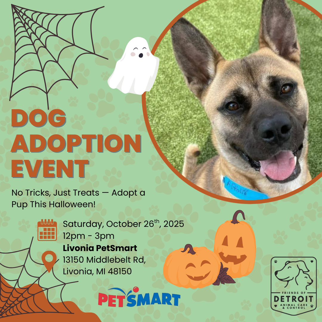 Dog Adoption Event at Livonia PetSmart