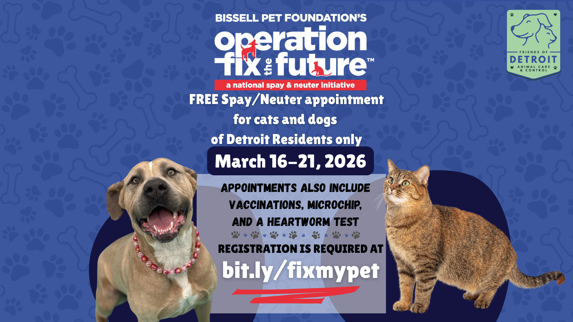 Fix the Future: Free Spay/Neuter Appointments for Detroit Pets (March 16–21)