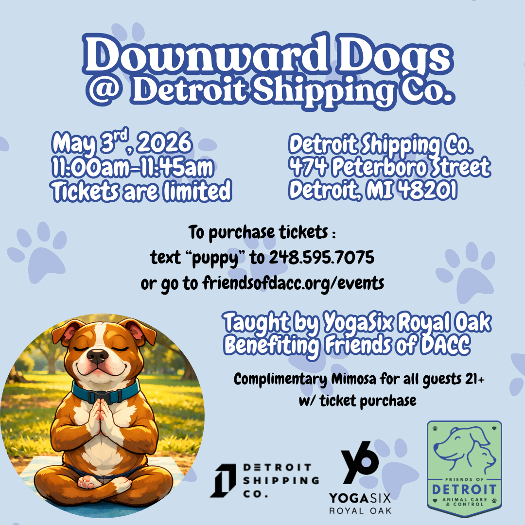 Downward Dogs @Detroit Shipping Co.