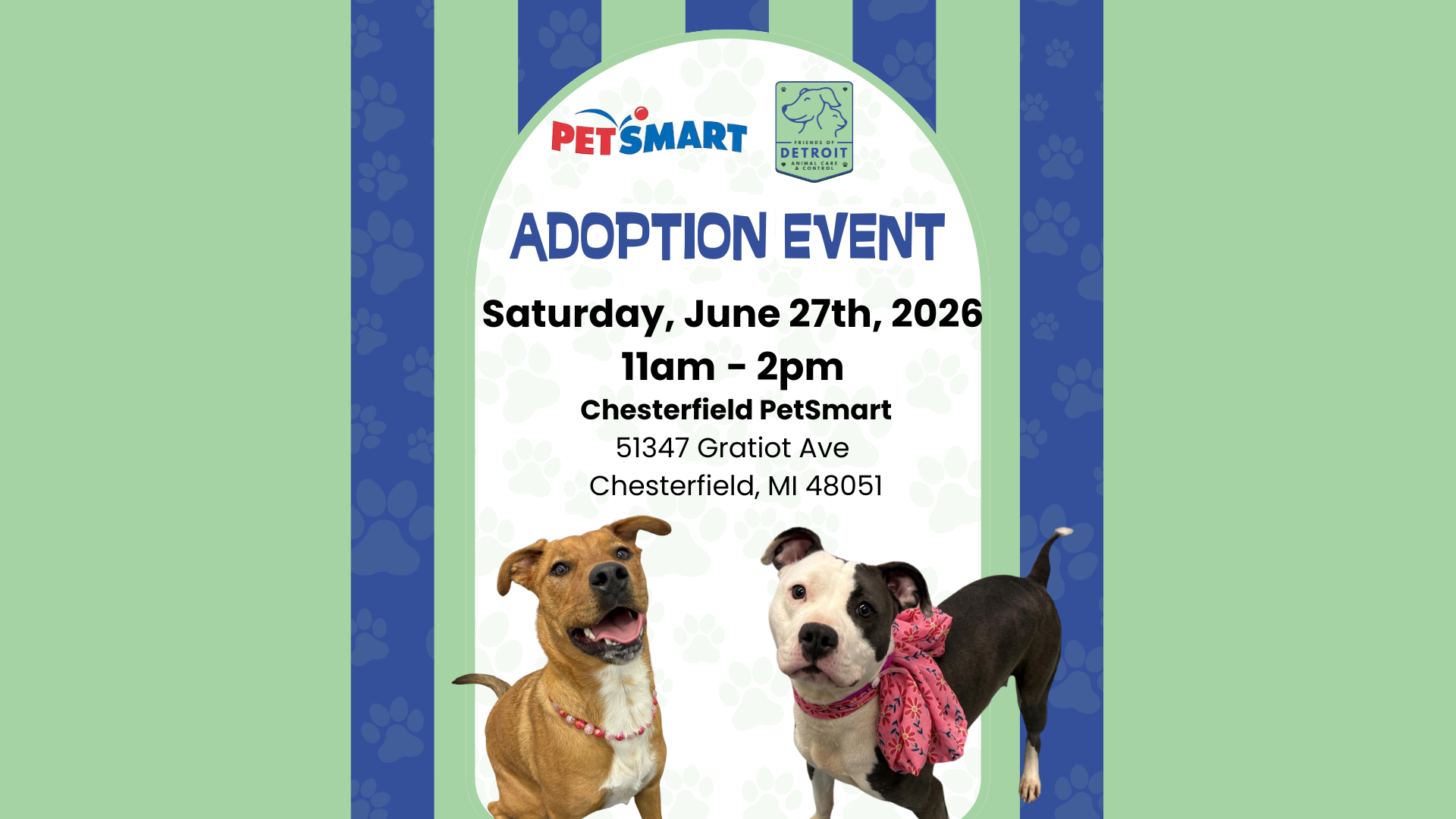 Dog Adoption Event at Chesterfield PetSmart