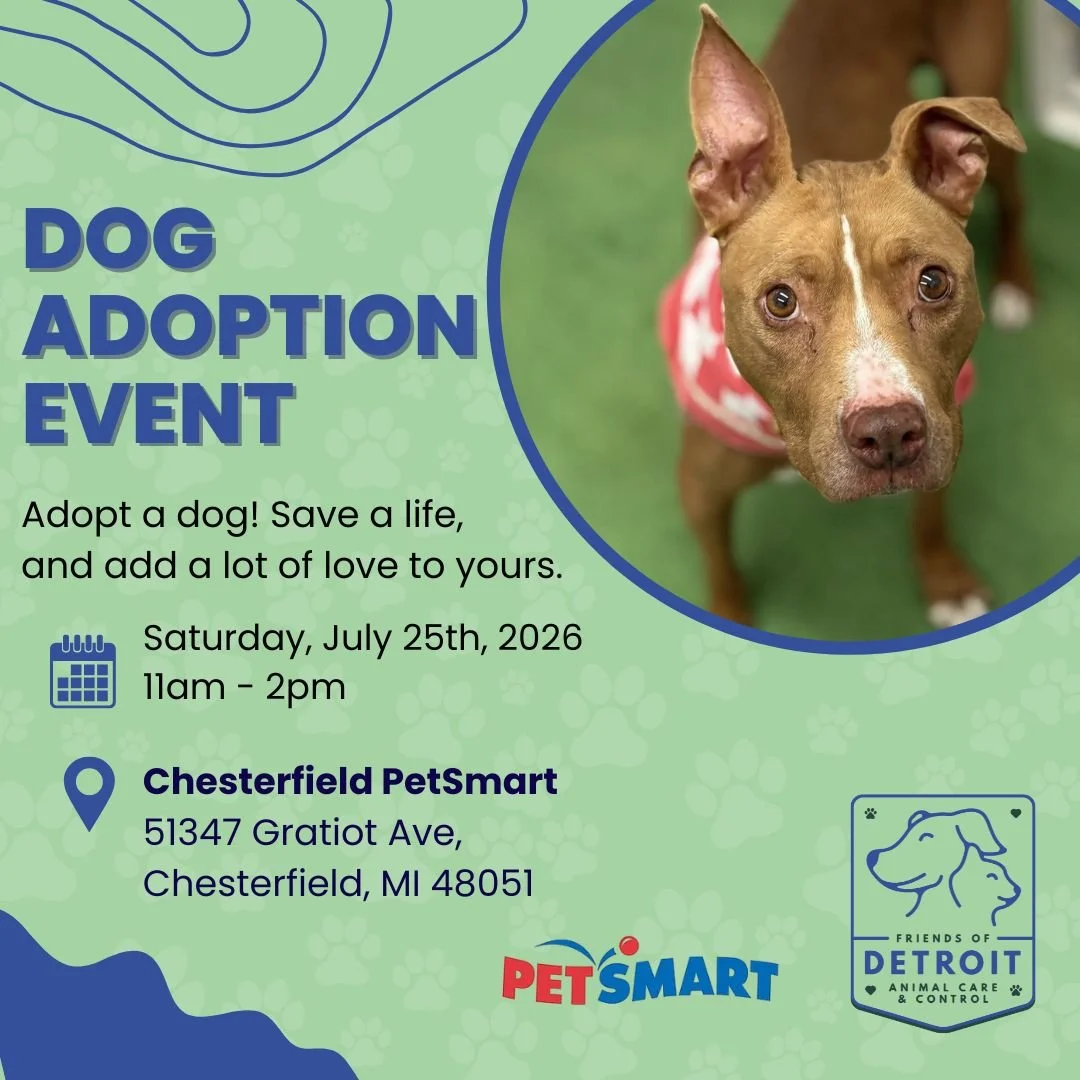 An adorable dog with one ear up and one ear down with the information for the adoption event