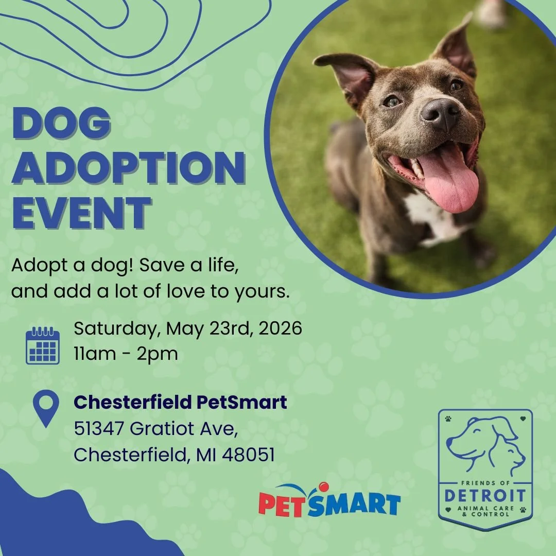 Dog Adoption Event at Chesterfield PetSmart