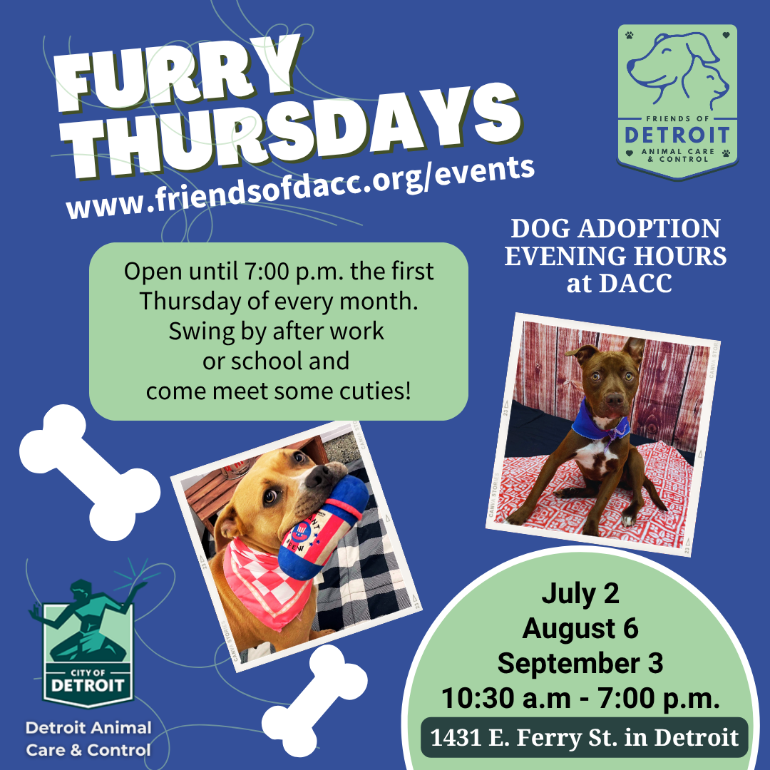 Furry Thursday - Evening Adoption Hours at DACC