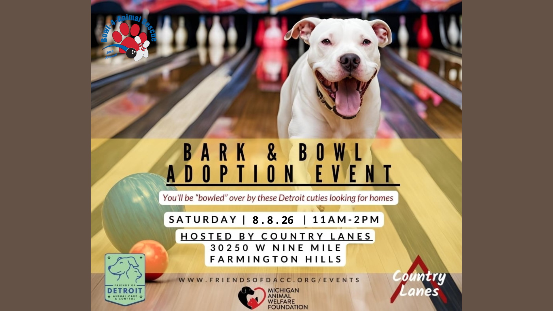 Bark & Bowl Adoption Event