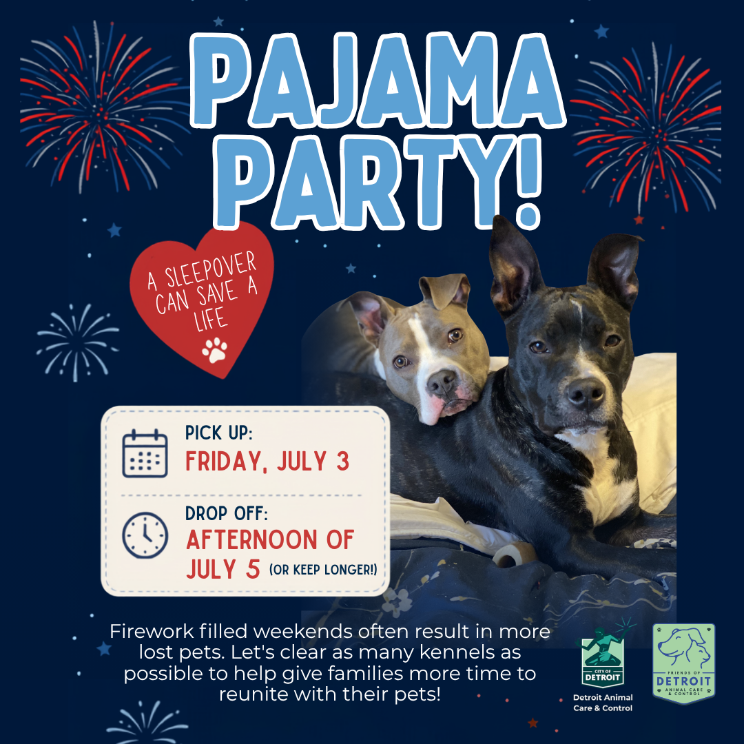 4th of July Pajama Party: A Sleepover Can Save a Life