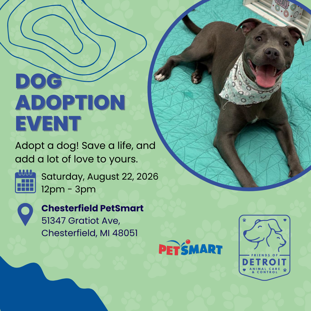 Dog Adoption Event at PetSmart in Chesterfield