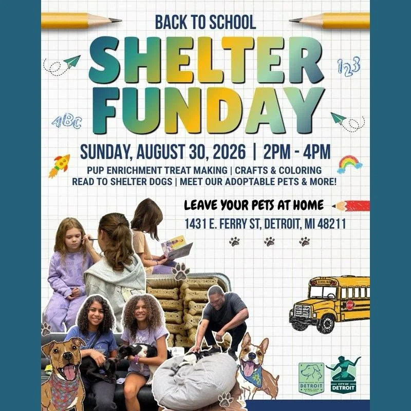 Shelter Funday